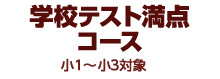 学校テスト満点コース
